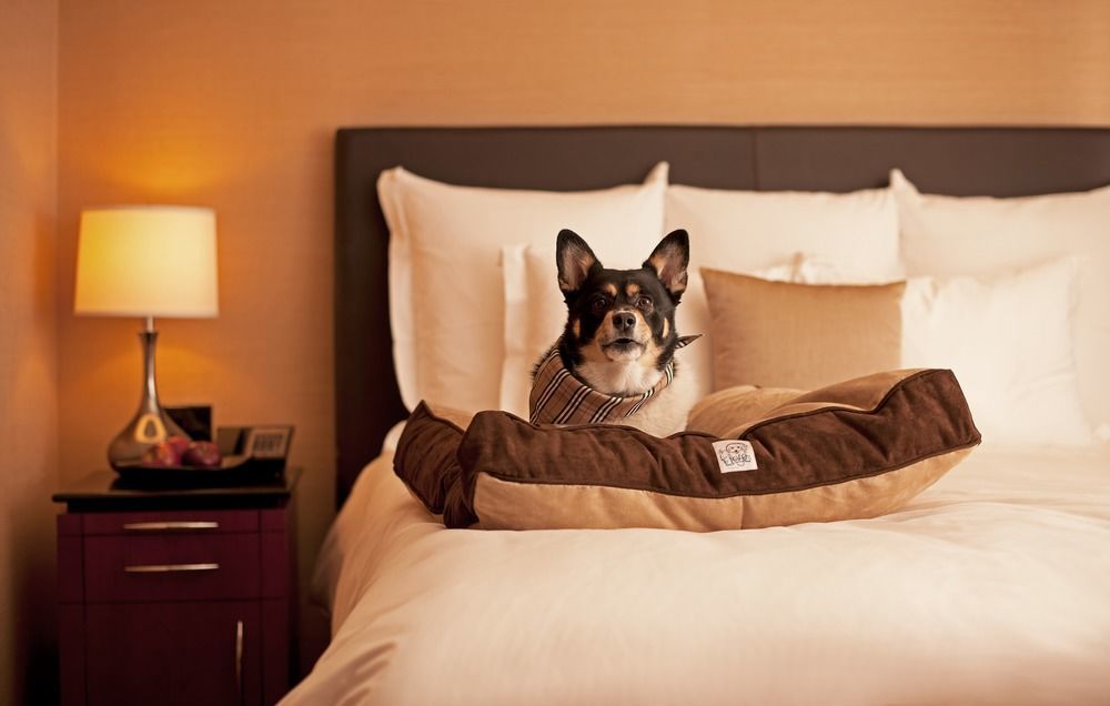 Hyatt Place Sterling Dulles Airport North Buitenkant foto